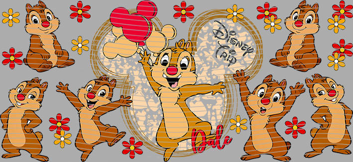 16oz Disney style-D-1228